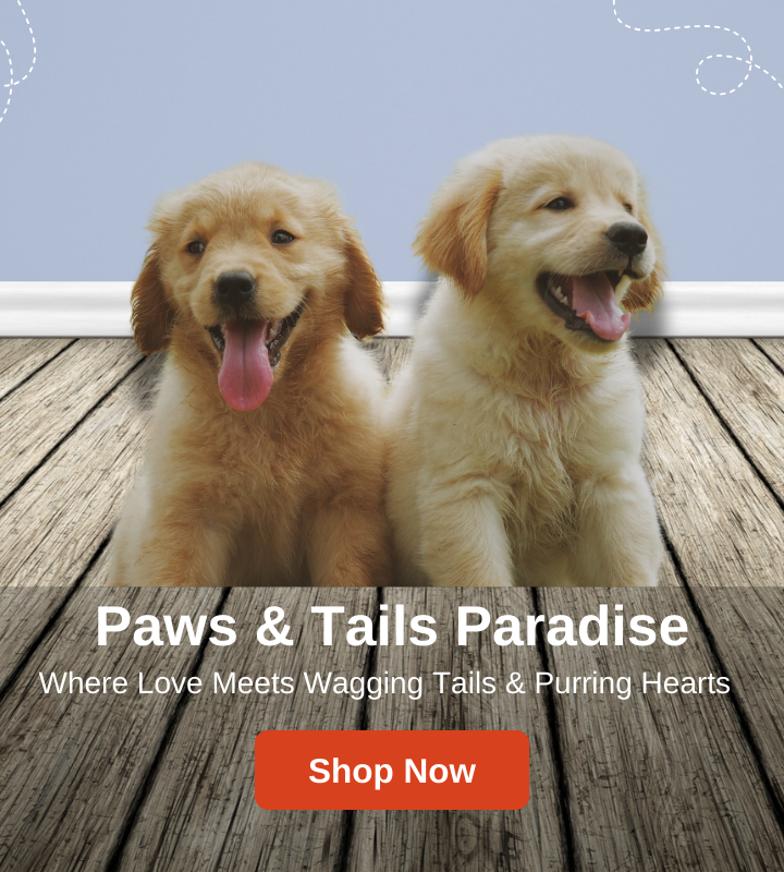 slider image slider_item_GzWTz9