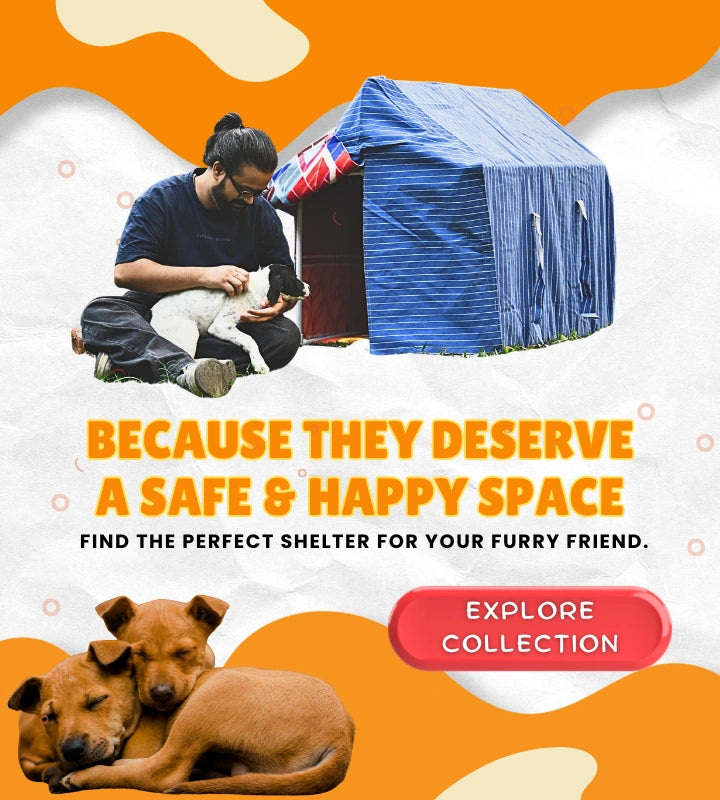 slider image slider_item_CVcmx6