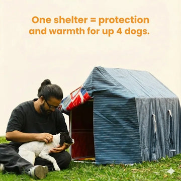 Dog Shelter